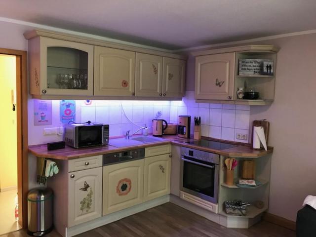Gaestewohnung Saaleblick Weißenfels Eksteriør billede