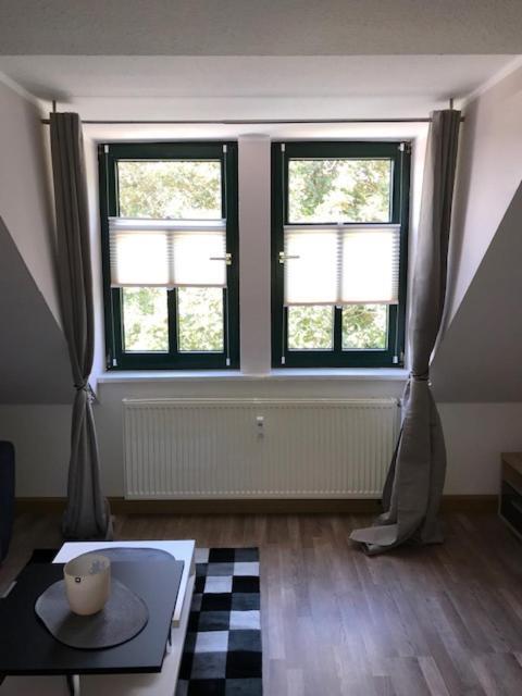 Gaestewohnung Saaleblick Weißenfels Eksteriør billede